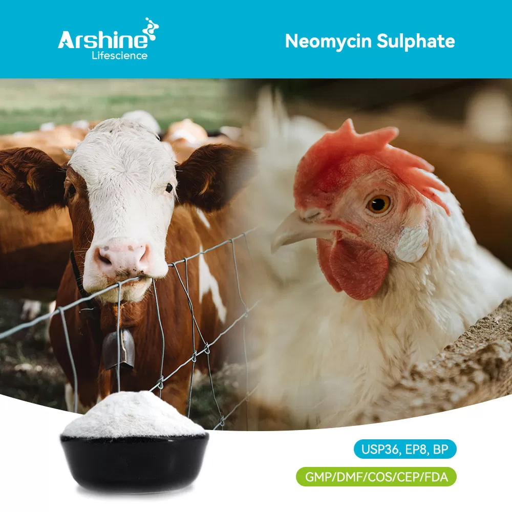 A Technical White Paper on Aminoglycoside Pharmacology, Gut-Level Efficacy, and Industrial Manufacturing Standards
