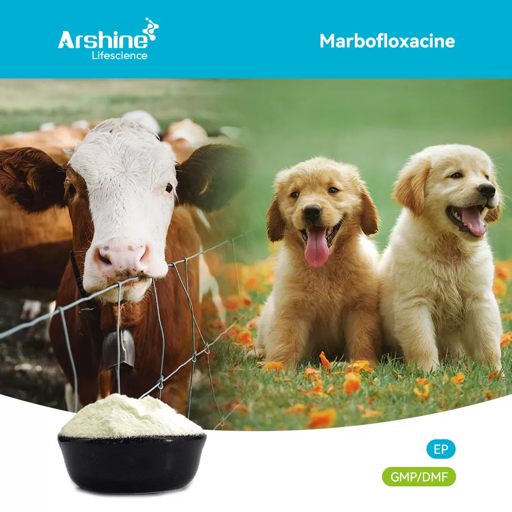 A Comprehensive Technical White Paper on Third-Generation Fluoroquinolone Pharmacology and Global Veterinary Applications