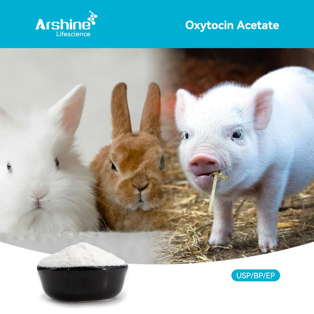 Oxytocin Acetate: A Technical Compendium on the "Master Hormone" of Reproductive Physiology and Veterinary Obstetrics